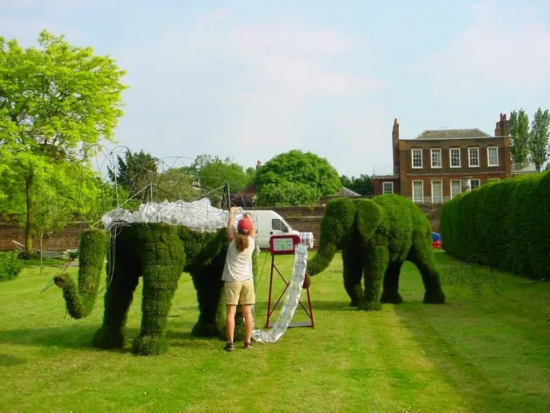 Artistic Topiaries