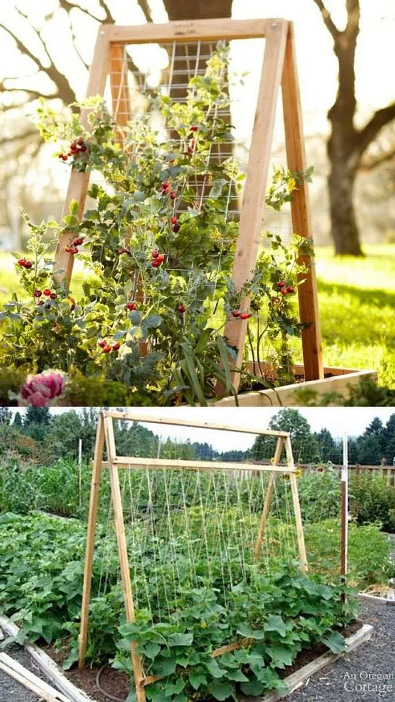 Attractive Garden Design