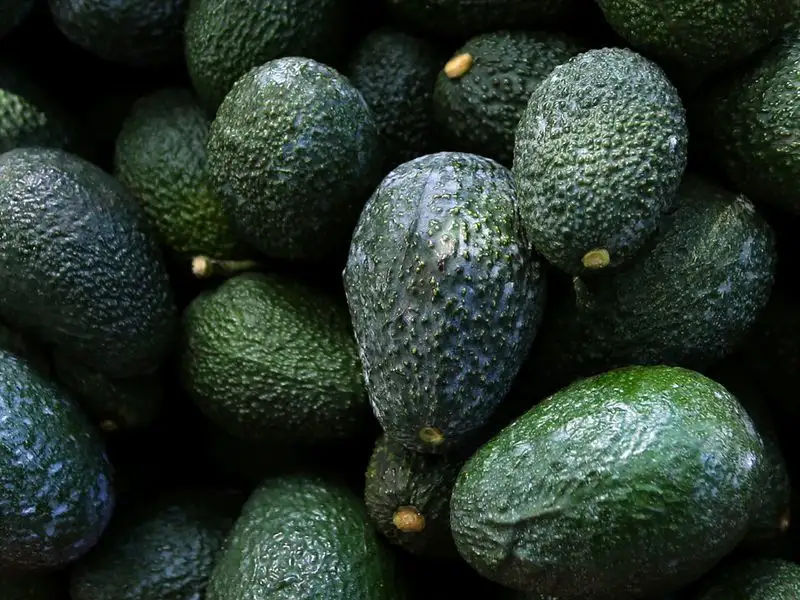 Avocados from Mexico