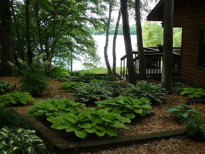 Avoid Planting in Shade