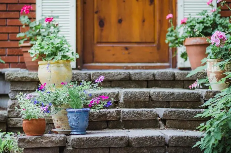 Azalea Pots