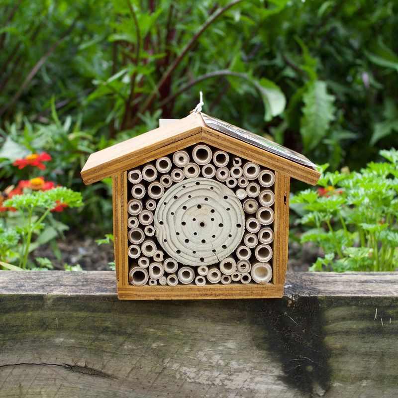 Bee Hotels