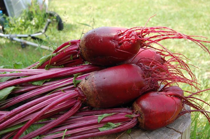 Beets