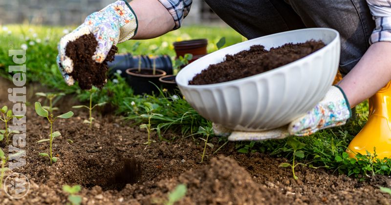 Biochar Application