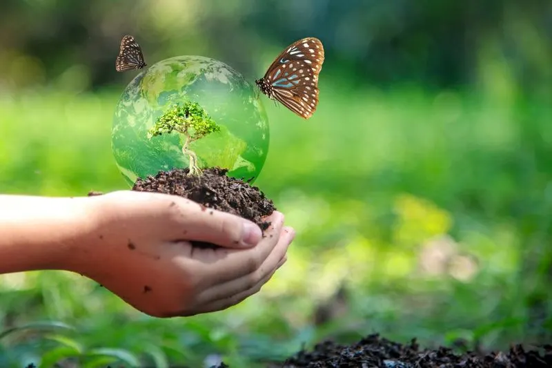 Biodiversity Boost