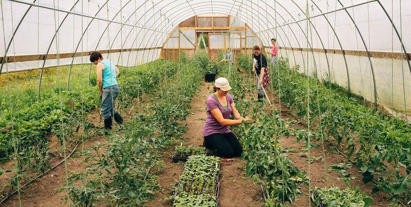 Biodynamic Farming