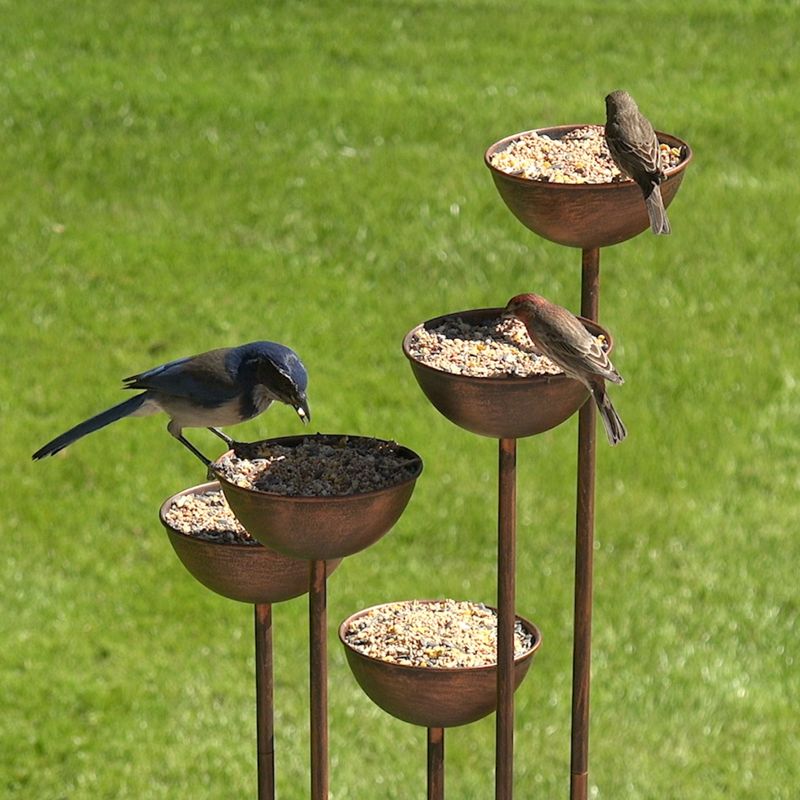 Bird Baths and Feeders