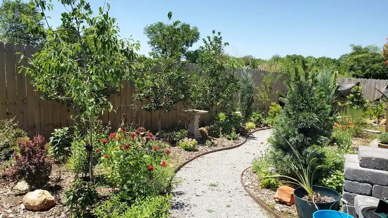 Bird-Friendly Landscaping