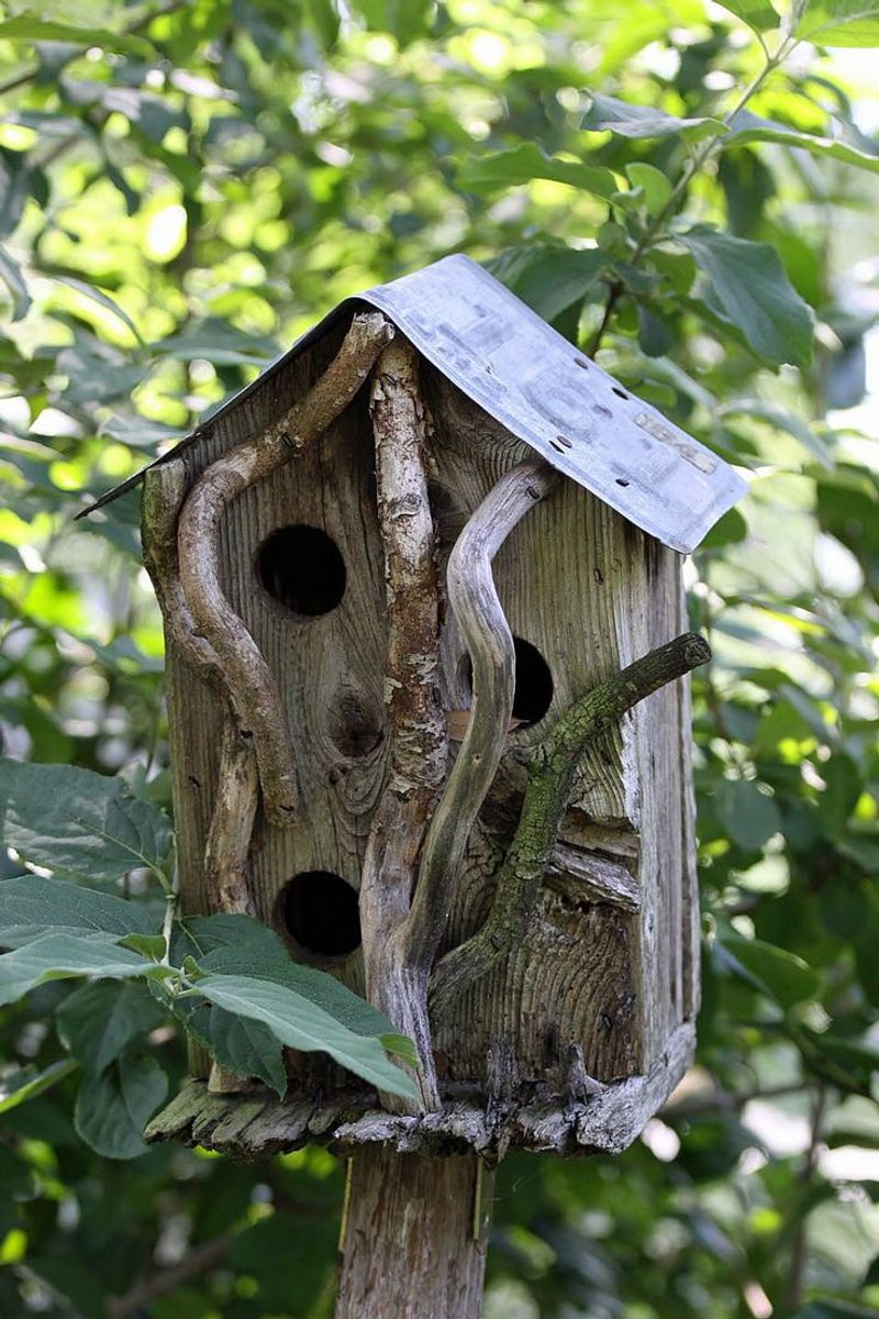 Birdhouses