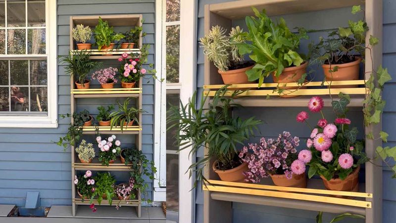 Bookshelf of Blooms