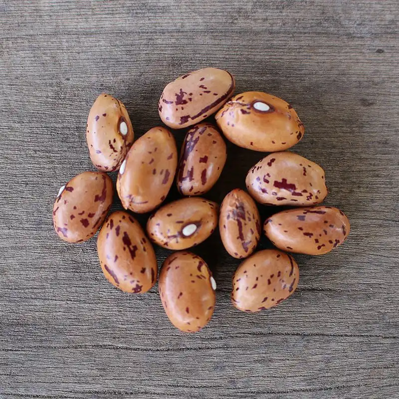 Borlotti Beans
