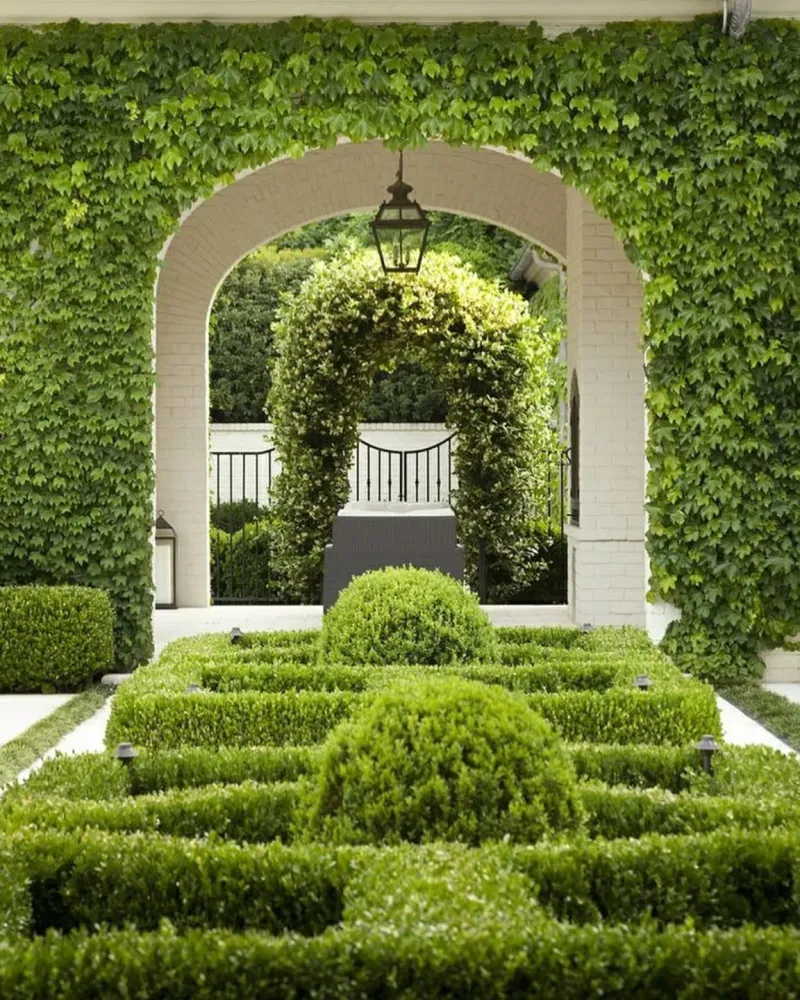 Boxwood Archway