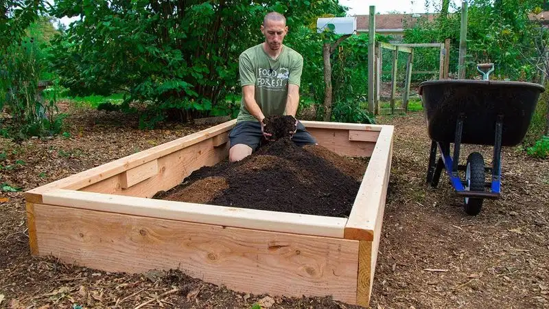 Build Raised Garden Beds