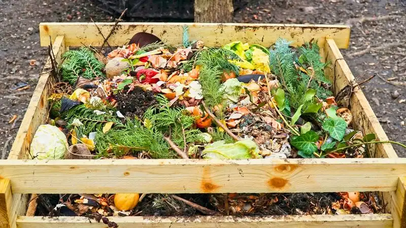 Build a Compost Pile