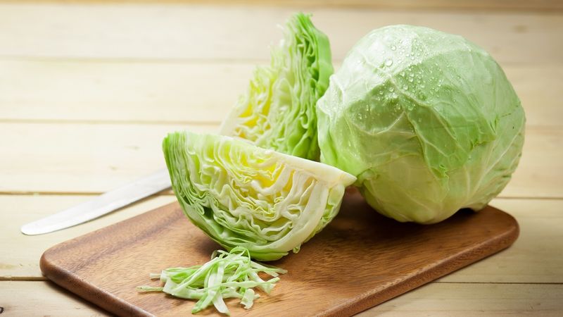 Cabbage