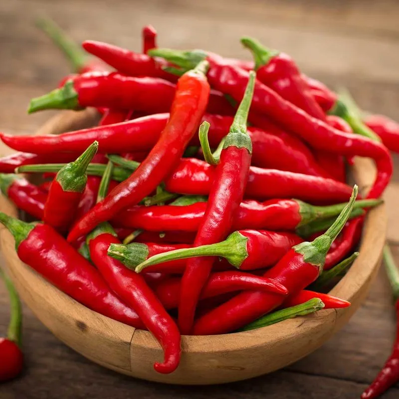 Cayenne