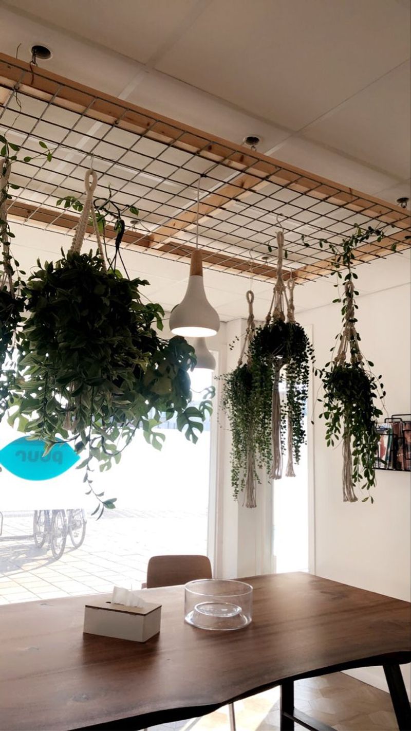 Ceiling-Suspended Plant Dome