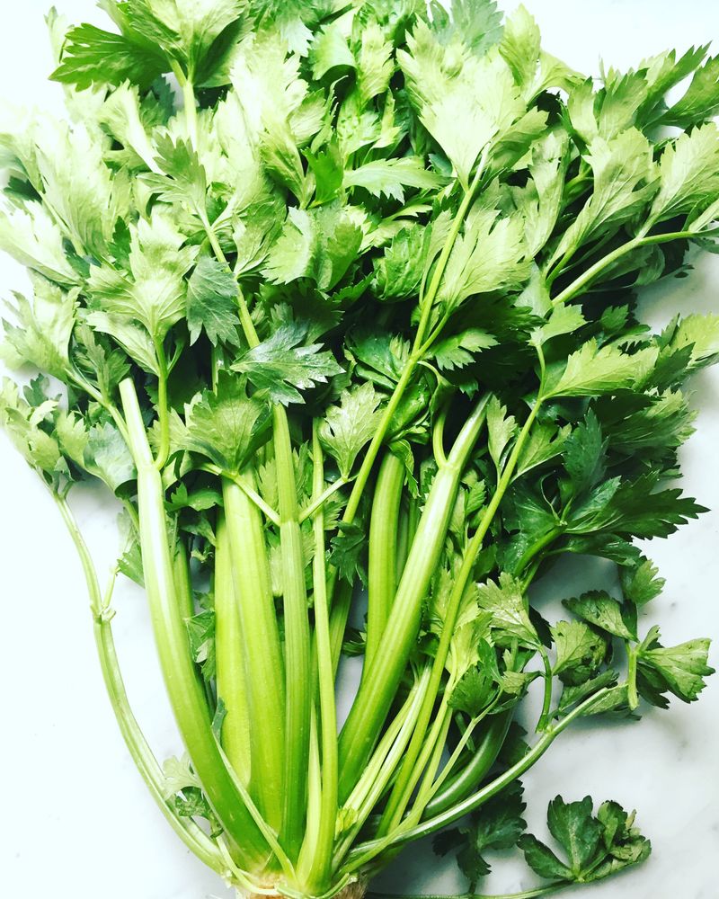 Celery