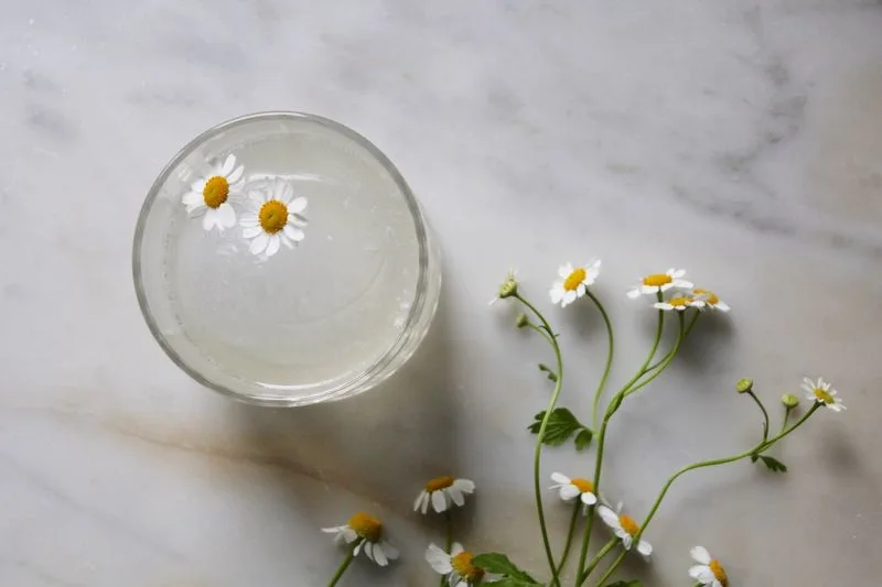 Chamomile