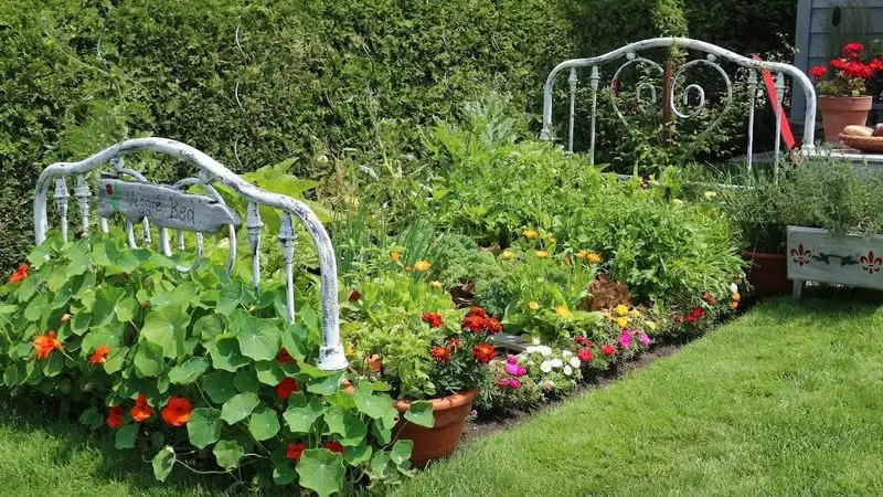 Charming Iron Bed Frame Flower Bed