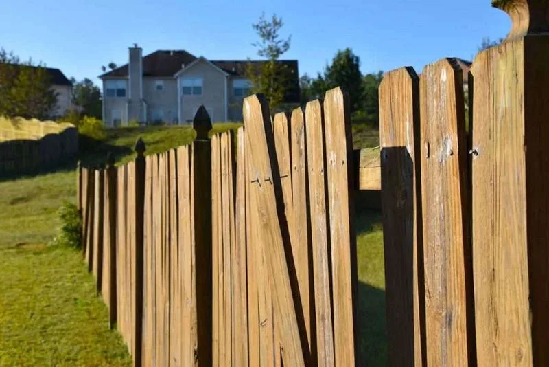Check and Repair Fencing