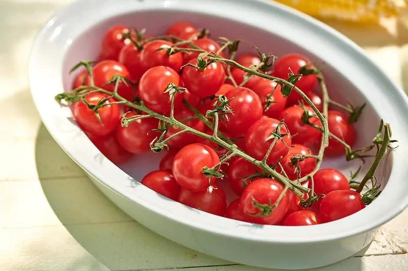 Cherry Tomatoes