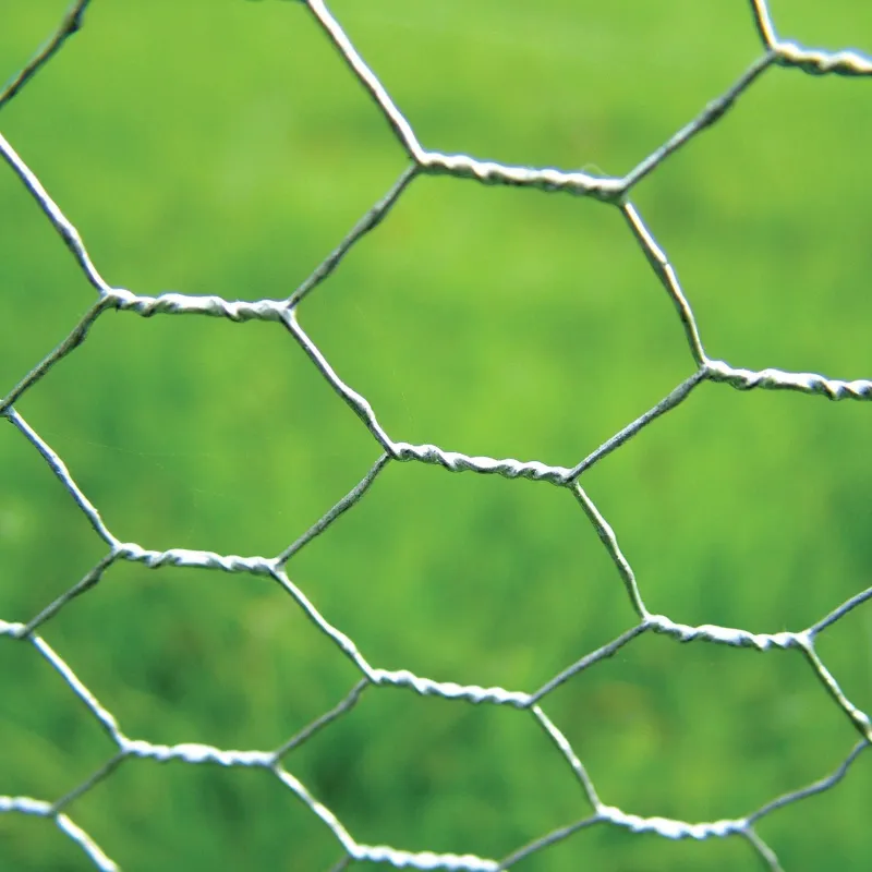 Chicken Wire