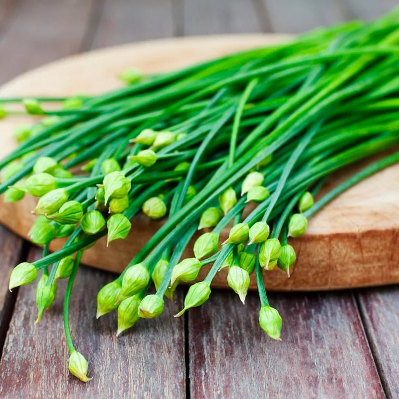 Chives