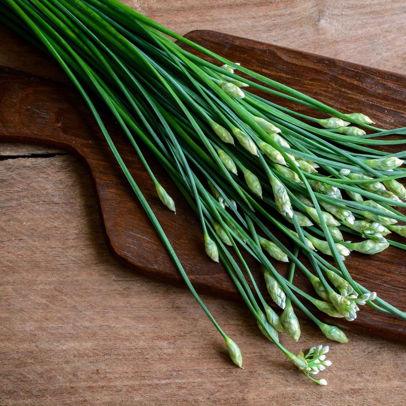 Chives