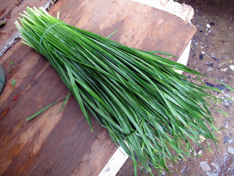 Chives