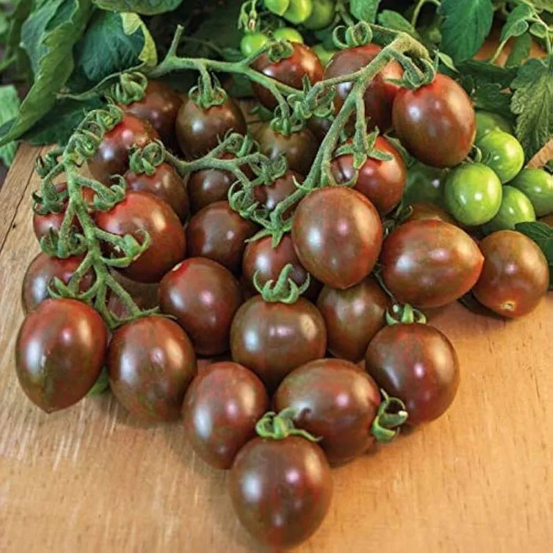 Chocolate Sprinkles Tomatoes