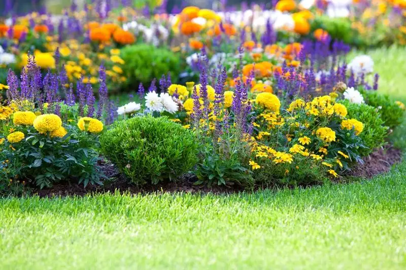 Choose Calming Colors