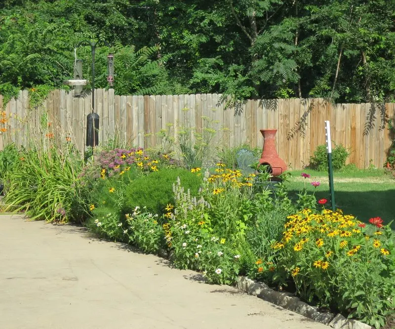 Choose Native Plants
