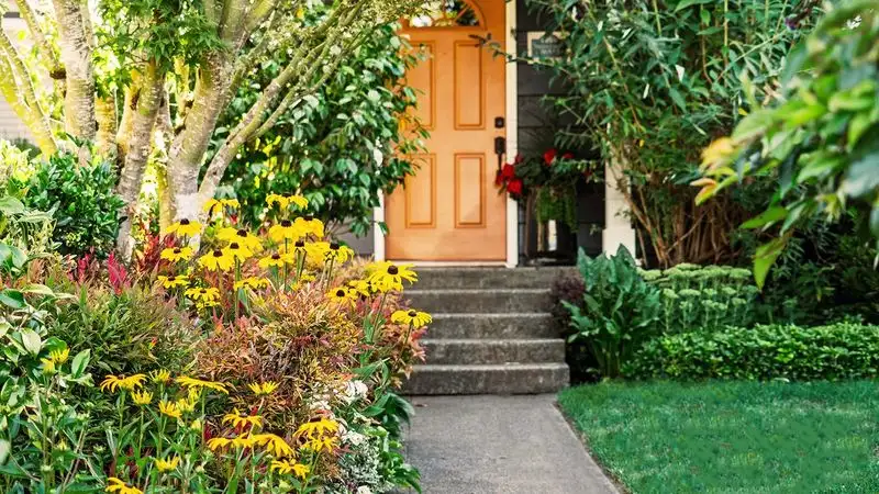 Choose Native Plants for Low-Maintenance Appeal