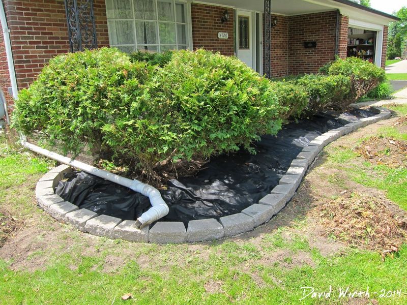 Cinder Block Edging