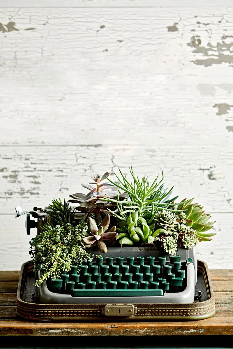 Classic Typewriter Plant Stand