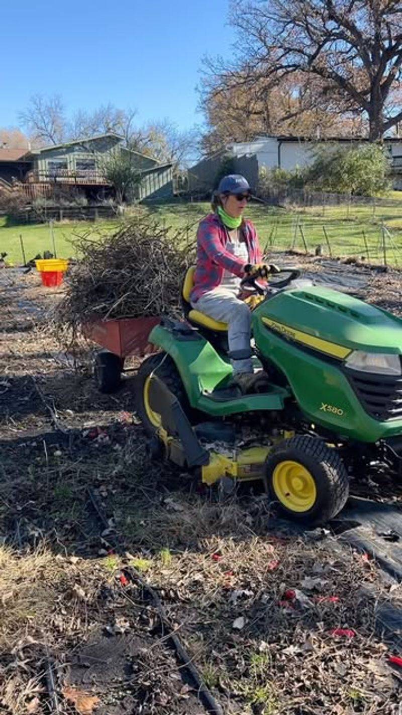 Clean Up Garden Beds