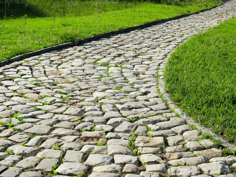 Cobblestone Pathway