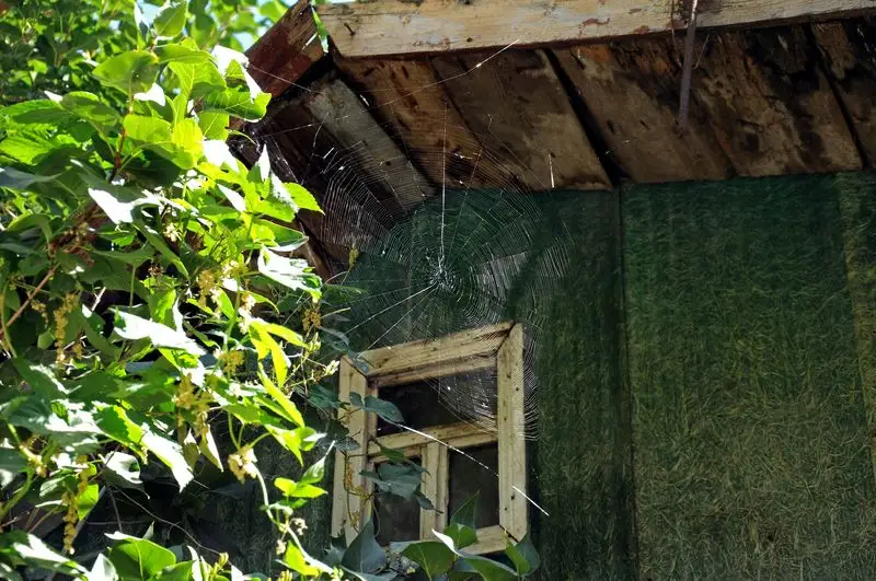 Cobwebs in Corners