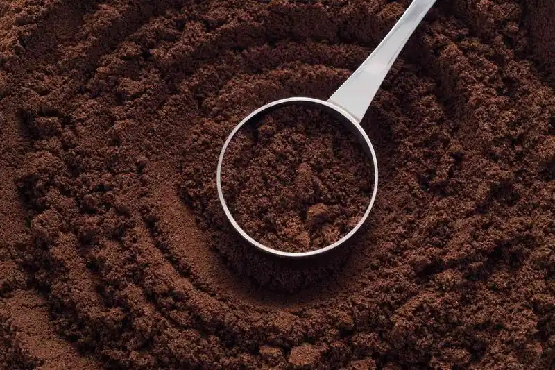 Coffee Grounds