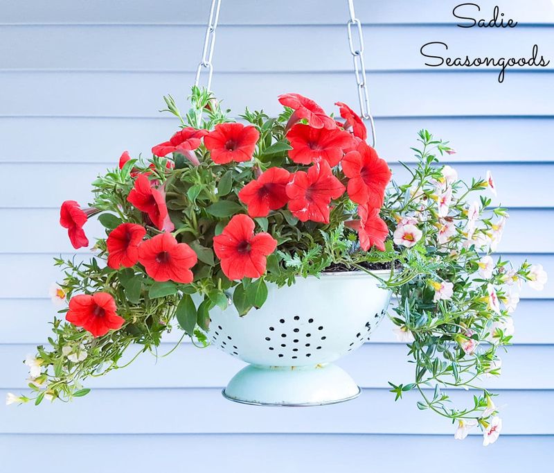 Colander Hanging Planters