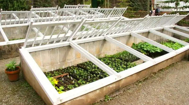 Cold Frames