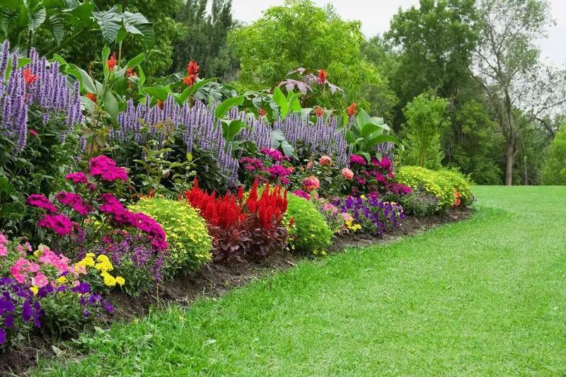 Colorful Flower Beds