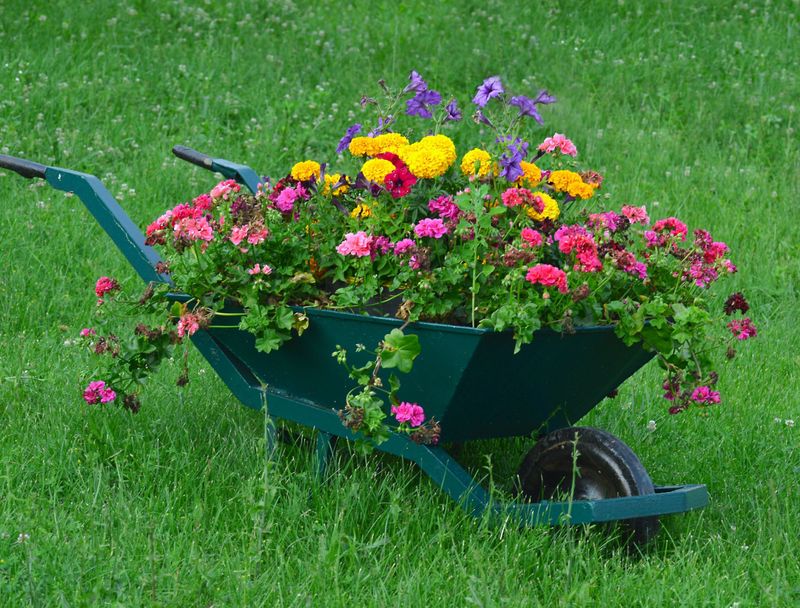 Colorful Wheelbarrow Planter