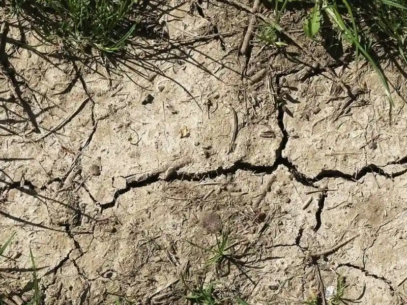 Compacting the Soil