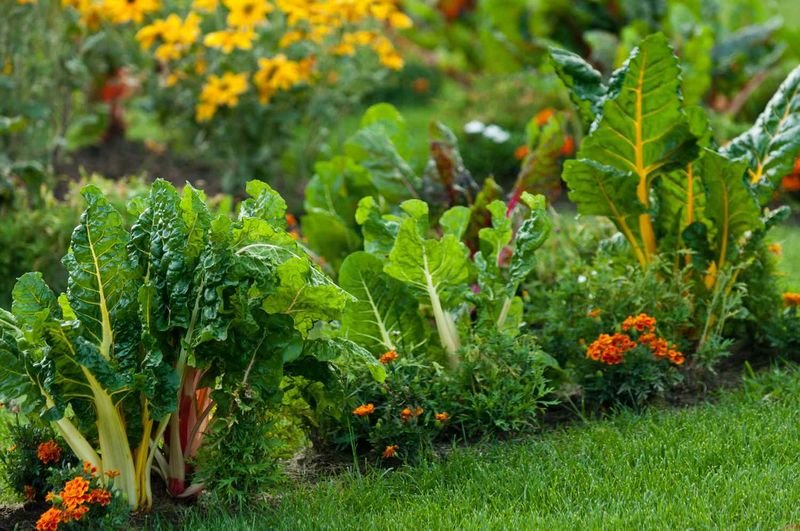 Companion Planting Benefits