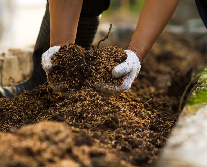 Compost Addition