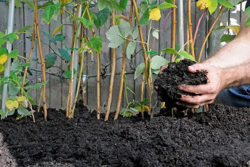 Compost Application