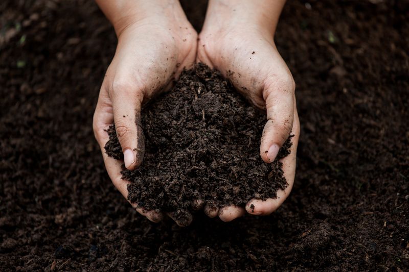 Compost Enriched with Calcium