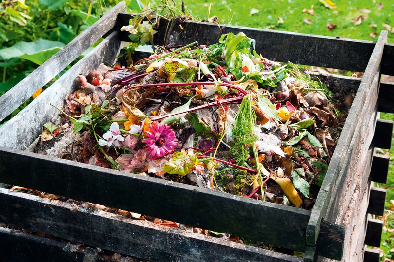 Compost Heaps